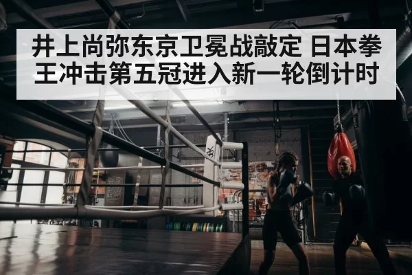 boxer training gym